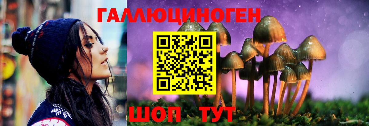 Галлюциногенные грибы прущие грибы Кандалакша